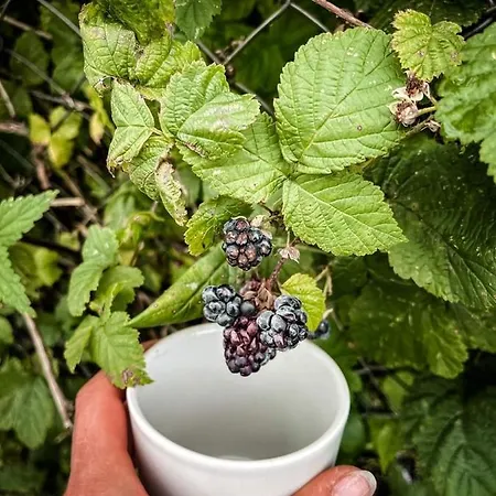 Paradiso Διαμέρισμα Rusinowo (Slawno)