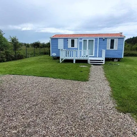 Paradiso * ルシノボ