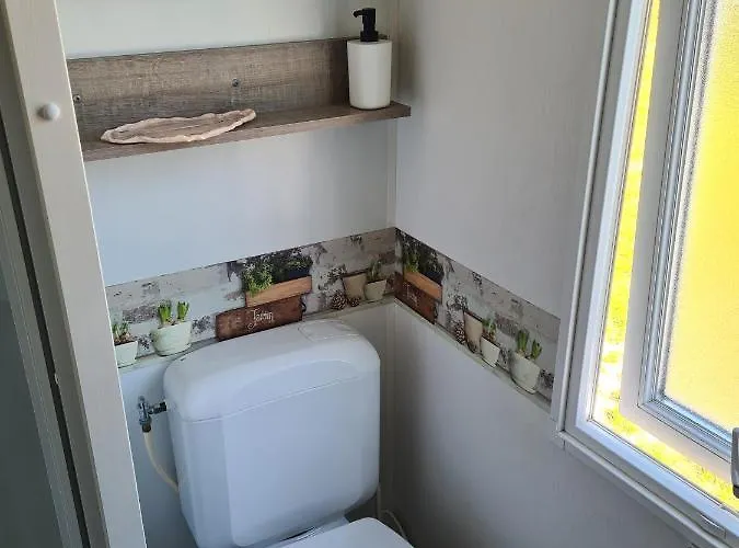 Paradiso ルシノボ