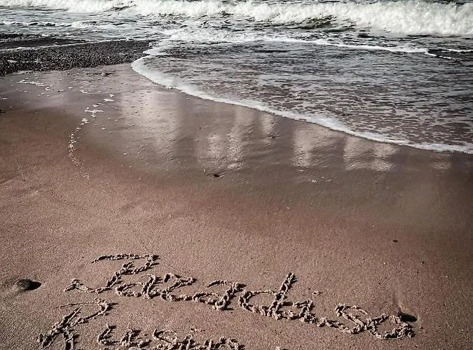 Paradiso * ルシノボ