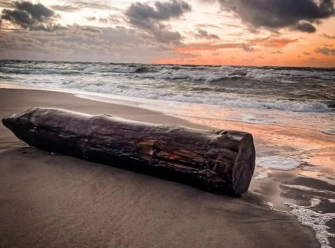 アパート Paradiso ルシノボ