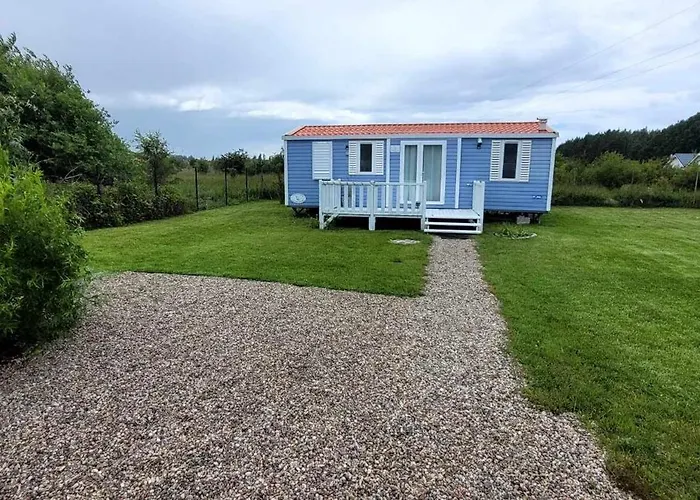 Paradiso * ルシノボ